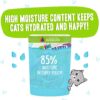 Weruva B.F.F. Omg - Best Feline Friend Oh My Gravy!, Shazaam! With Lamb & Tuna In Gravy Cat Food, 2.8Oz Pouch (Pack Of 12)
