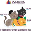 Weruva Best Feline Friend (B.F.F.) Tuna & Tilapia Twosome with Tuna & Tilapia in Gelée Cat Food, 5.5oz Can (Pack of 24), Purple