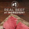 Purina ONE Natural Pate Wet Dog Food, SmartBlend Beef & Brown Rice Entrée - (12) 13 oz. Cans