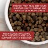 Rachael Ray Nutrish Premium Natural Dry Dog Food, Real Beef, Pea, & Brown Rice Recipe, 40 Pounds