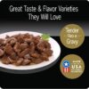 CESAR Adult Soft Wet Dog Food Filets in Gravy Variety Pack, Filet Mignon, New York Strip and Prime Rib Flavors, (24) 3.5 oz. Trays CESAR Adult Soft Wet Dog Food Filets in Gravy Variety Pack, Filet Mignon, New York Strip and Prime Rib Flavors, (24) 3.5 oz. Trays