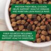 Rachael Ray Nutrish Premium Natural Dry Dog Food, Real Chicken & Veggies Recipe, 14 Pounds (Packaging May Vary)