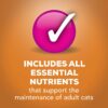 Purina Friskies Gravy Pate Wet Cat Food, Extra Gravy Pate With Chicken in Savory Gravy - (24) 5.5 oz. Cans