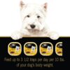 CESAR Soft Wet Dog Food Classic Loaf in Sauce Grilled Steak and Eggs Flavor, 3.5 oz. Easy Peel Trays Pack of 24 CESAR Soft Wet Dog Food Classic Loaf in Sauce Grilled Steak and Eggs Flavor, 3.5 oz. Easy Peel Trays Pack of 24