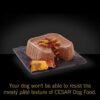 CESAR Puppy Soft Wet Dog Food Classic Loaf in sauce Chicken & Beef Recipe, 3.5 oz. Pack of 24 Easy Peel Trays