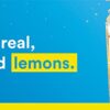 Lemon Perfect, Organic Cold-Pressed Lemon Water, Squeezed from Real Fruit, Flavored Water, Sugar-Free, Keto Certified, No Artificial Ingredients, Dragon Fruit Mango (12-Pack)