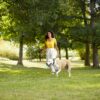 Rachael Ray Nutrish Premium Natural Dry Dog Food, Real Beef, Pea & Brown Rice Recipe, 14 Pounds