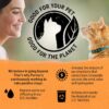 Purina Beyond Grain Free, Natural Dry Cat Food, Grain Free White Meat Chicken & Egg Recipe - 16 lb. Bag