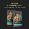 Purina Pro Plan (3810002773) Wet Dog Food, Focus, Puppy Chicken & Rice Entree Classic, 13-Ounce Can, Pack of 12