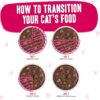 Weruva Wet Cat Food B.F.F. OMG - Best Feline Friend Oh My Gravy!, Tuna & Duck Dilly Dally with Tuna & Duck, 2.8oz Can (Pack of 12)