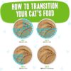 Weruva Wet Cat Food B.F.F. Play - Best Feline Friend Paté Lovers, Aw Yeah!, Lamb & Tuna Told Ya' with Lamb & Tuna, 2.8oz Can (Pack of 12) Weruva Wet Cat Food B.F.F. Play - Best Feline Friend Paté Lovers, Aw Yeah!, Lamb & Tuna Told Ya' with Lamb & Tuna, 2.8oz Can (Pack of 12)