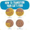 Weruva Wet Cat Food B.F.F. OMG - Best Feline Friend Oh My Gravy!, Chicken Charge Me Up with Chicken in Gravy, 2.8oz Pouch (Pack of 12)