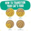 Weruva Wet Cat Food B.F.F. PLAY - Best Feline Friend Paté Lovers, Aw Yeah!, Chicken & Turkey Tiptoe with Chicken & Turkey, 3oz Pouch (Pack of 12) Weruva Wet Cat Food B.F.F. PLAY - Best Feline Friend Paté Lovers, Aw Yeah!, Chicken & Turkey Tiptoe with Chicken & Turkey, 3oz Pouch (Pack of 12)