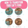 Weruva B.F.F. Omg - Best Feline Friend Oh My Gravy!, Date Nite! With Duck & Salmon In Gravy Cat Food, 2.8Oz Pouch (Pack Of 12)