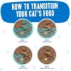 Weruva B.F.F. OMG - Best Feline Friend Oh My Gravy!, Ciao Baby! with Chicken & Shrimp in Gravy Cat Food, 2.8oz Pouch (Pack of 12)
