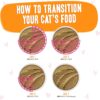 Weruva Wet Cat Food B.F.F. Play - Best Feline Friend Paté Lovers, Aw Yeah!, Tuna & Salmon Oh Snap! with Tuna & Salmon, 2.8oz Can (Pack of 12)