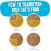 Weruva Wet Cat Food B.F.F. OMG - Best Feline Friend Oh My Gravy!, Chicken Cloud 9 with Chicken in Gravy, 2.8oz Can (Pack of 12) Weruva Wet Cat Food B.F.F. OMG - Best Feline Friend Oh My Gravy!, Chicken Cloud 9 with Chicken in Gravy, 2.8oz Can (Pack of 12)
