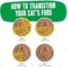 Weruva Wet Cat Food B.F.F. OMG - Best Feline Friend Oh My Gravy!, Chicken & Lamb Live N' Love with Chicken & Lamb in Gravy, 2.8oz Can (Pack of 12)