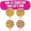Weruva Wet Cat Food B.F.F. PLAY - Best Feline Friend Paté Lovers, Aw Yeah!, Chicken, Duck & Turkey Take a Chance with Chicken, Duck & Turkey, 2.8oz Can (Pack of 12)