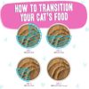 Weruva Wet Cat Food B.F.F. PLAY - Best Feline Friend Paté Lovers, Aw Yeah!, Duck & Tuna Tap Dance with Duck & Tuna, 3oz Pouch (Pack of 12)