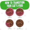 Weruva Wet Cat Food B.F.F. OMG - Best Feline Friend Oh My Gravy!, Tuna & Lamb Lights Out with Tuna & Lamb, 5.5oz Can (Pack of 8) Weruva Wet Cat Food B.F.F. OMG - Best Feline Friend Oh My Gravy!, Tuna & Lamb Lights Out with Tuna & Lamb, 5.5oz Can (Pack of 8)