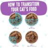 Weruva B.F.F. Omg - Best Feline Friend Oh My Gravy!, Booya! Beef & Chicken In Gravy Cat Food, 2.8Oz Pouch (Pack Of 12)