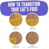 Weruva Wet Cat Food B.F.F. OMG - Best Feline Friend Oh My Gravy!, Chicken & Beef Be Happy with Chicken & Beef in Gravy, 5.5oz Can (Pack of 8)