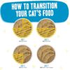 Weruva Wet Cat Food B.F.F. PLAY - Best Feline Friend Paté Lovers, Aw Yeah!, Chicken Cherish with Chicken, 3oz Pouch (Pack of 12)