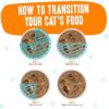 Weruva B.F.F. OMG - Best Feline Friend Oh My Gravy!, Purr-Fect Plannin'! with Chicken, Turkey & Salmon in Gravy Cat Food, 2.8oz Pouch (Pack of 12)