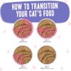 Weruva Wet Cat Food B.F.F. PLAY - Best Feline Friend Paté Lovers, Aw Yeah!, Tuna & Beef Blast Off! with Tuna & Beef, 3oz Pouch (Pack of 12)