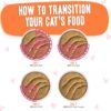 Weruva Wet Cat Food B.F.F. PLAY - Best Feline Friend Paté Lovers, Aw Yeah!, Tuna & Salmon Shhh... with Tuna & Salmon, 3oz Pouch (Pack of 12)