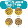 Weruva Wet Cat Food B.F.F. Play - Best Feline Friend Paté Lovers, Aw Yeah!, Chicken & Turkey Topsy Turvy with Chicken & Turkey, 5.5oz Can (Pack of 8)
