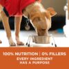 Purina ONE Natural, Weight Control Dry Dog Food, +Plus Healthy Weight Formula - 31.1 lb. Bag