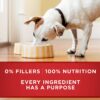 Purina ONE Natural Pate Wet Dog Food, SmartBlend Beef & Brown Rice Entrée - (12) 13 oz. Cans