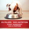 Purina ONE Natural Pate Wet Puppy Food, SmartBlend Healthy Puppy Lamb & Long Grain Rice Entree - (12) 13 oz. Cans