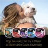 CESAR Adult Soft Wet Dog Food Filets in Gravy Variety Pack, Filet Mignon, New York Strip and Prime Rib Flavors, (24) 3.5 oz. Trays CESAR Adult Soft Wet Dog Food Filets in Gravy Variety Pack, Filet Mignon, New York Strip and Prime Rib Flavors, (24) 3.5 oz. Trays