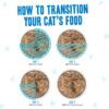 Weruva B.F.F. Omg - Best Feline Friend Oh My Gravy!, Variety Pack, Rainbow Road, Wet Cat Food By, 2.8Oz Cans (Pack Of 12)
