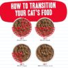 Weruva Best Feline Friend (B.F.F.) Tuna Too Cool with Red Meat Tuna in Gelée Cat Food, 5.5oz Can (Pack of 24)