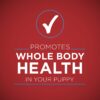 Purina ONE Natural Pate Wet Puppy Food, SmartBlend Healthy Puppy Lamb & Long Grain Rice Entree - (12) 13 oz. Cans