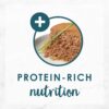 Purina Fancy Feast Grain Free Pate Wet Cat Food, Classic Pate Salmon and Shrimp Feast - (24) 3 oz. Cans