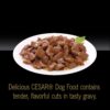 CESAR Adult Soft Wet Dog Food Filets in Gravy Variety Pack, Filet Mignon, New York Strip and Prime Rib Flavors, (24) 3.5 oz. Trays CESAR Adult Soft Wet Dog Food Filets in Gravy Variety Pack, Filet Mignon, New York Strip and Prime Rib Flavors, (24) 3.5 oz. Trays