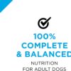 Purina Pro Plan Gravy Wet Dog Food for Large Dogs, Large Breed Beef and Rice Entree - (12) 13 oz. Cans Purina Pro Plan Gravy Wet Dog Food for Large Dogs, Large Breed Beef and Rice Entree - (12) 13 oz. Cans