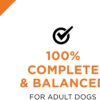 Purina Pro Plan High Protein, Pate Adult Wet Dog Food (12) 13 oz. Cans