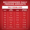 Purina ONE Natural Pate Wet Dog Food, SmartBlend Beef & Brown Rice Entrée - (12) 13 oz. Cans