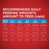 Purina ONE Natural Pate Wet Puppy Food, SmartBlend Healthy Puppy Lamb & Long Grain Rice Entree - (12) 13 oz. Cans