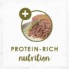 Purina Fancy Feast Grain Free Pate Wet Cat Food, Classic Pate Turkey and Giblets Feast - (24) 3 oz. Cans
