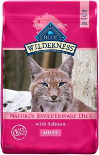 Blue Buffalo Wilderness High Protein, Natural Adult Dry Cat Food, Salmon 11-lb