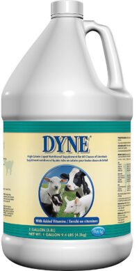 PetAg Dyne High Calorie Liquid Livestock Supplement, 1-gallon bottle