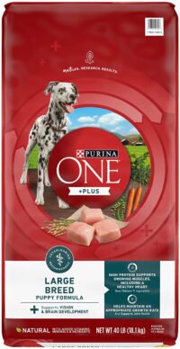 Purina one 40 lb bag best sale