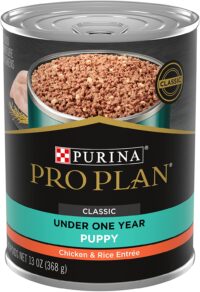Purina Pro Plan (3810002773) Wet Dog Food, Focus, Puppy Chicken & Rice Entree Classic, 13-Ounce Can, Pack of 12